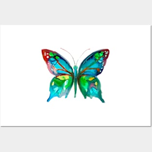 Blue Butterfly Posters and Art